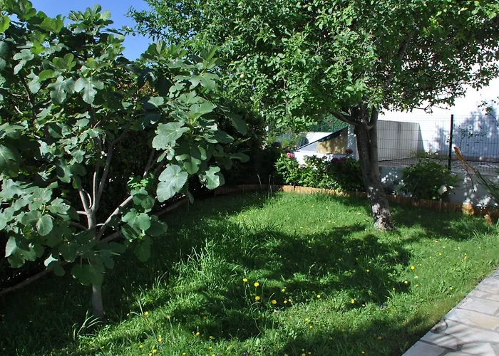 Chez Phil Et Dom 比亚里茨