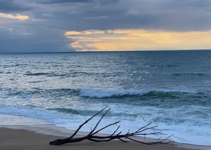 Chez Phil Et Dom 比亚里茨