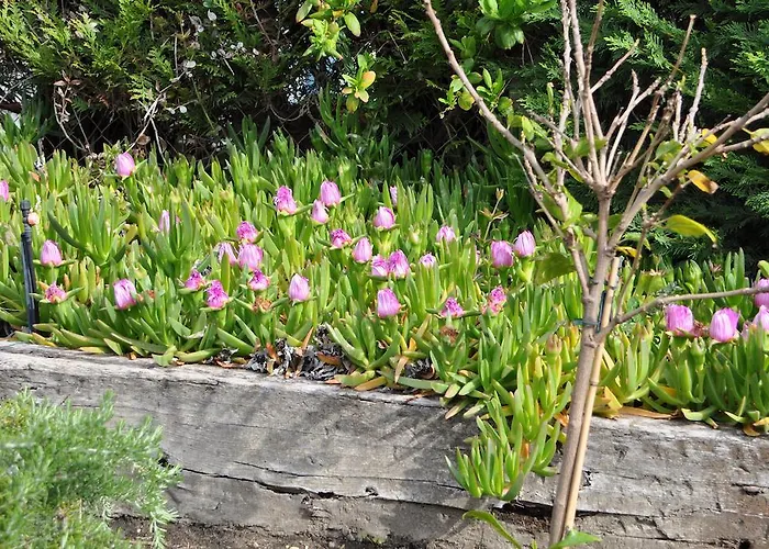 Chez Phil Et Dom Alojamento de Acomodação e Pequeno-almoço