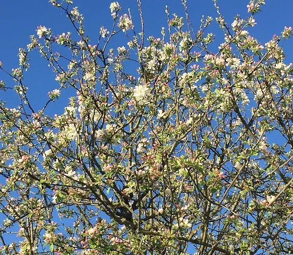 住宿加早餐酒店 Chez Phil Et Dom 3*