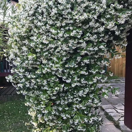 Chez Phil Et Dom Frühstückspension Biarritz