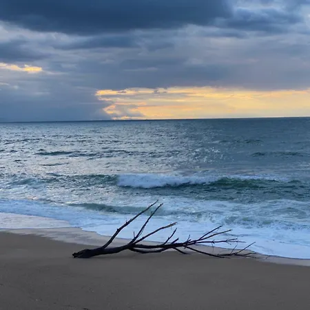 Chez Phil Et Dom Biarritz