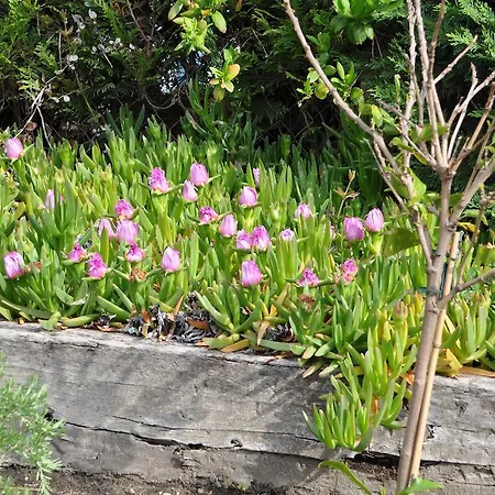 Chez Phil Et Dom Bed & Breakfast