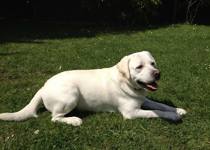 Bed and breakfast Chez Phil Et Dom Biarriz