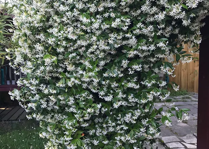 Chez Phil Et Dom Frühstückspension Biarritz