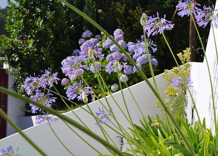 Chez Phil Et Dom 3* Biarriz