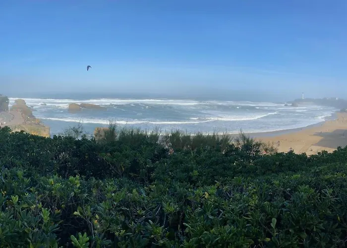 Chez Phil Et Dom Biarritz