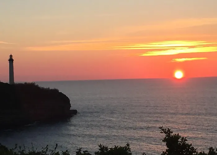 Chez Phil Et Dom Biarriz